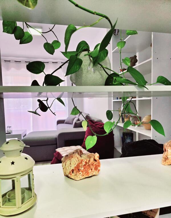 Apartament 1+1 Pazari i Ri per banim ose perdorim airbnb
