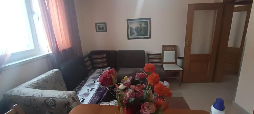 Apartment 2+1 for rent, Mine Peza