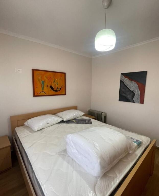 APARTMENT FOR RENT 2+1- MINE PEZA STREET
