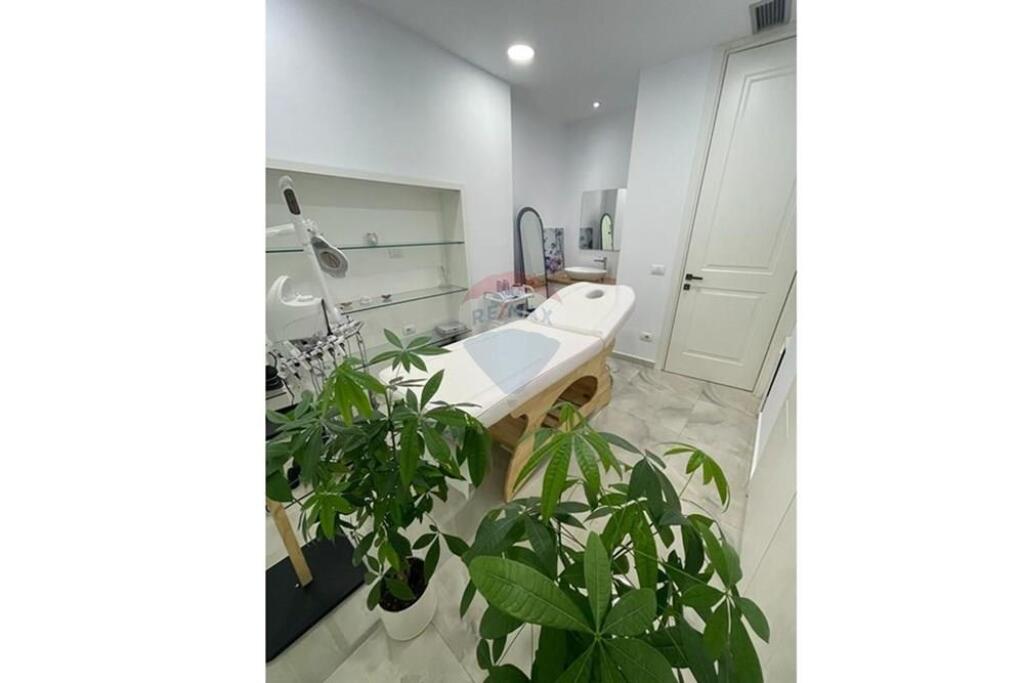 AMBIENT SALLON PARUKERI