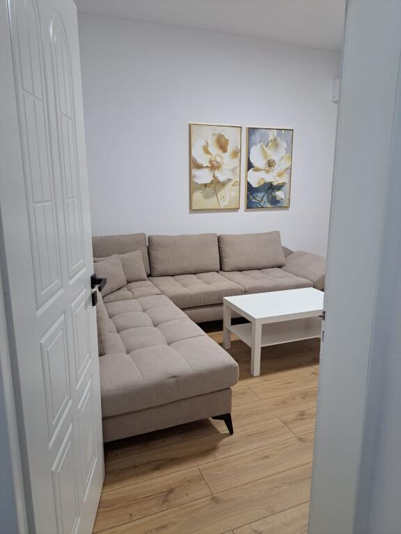 Appartamento In Affitto 1+1 In Via Barricate (ID B211265) Tirana