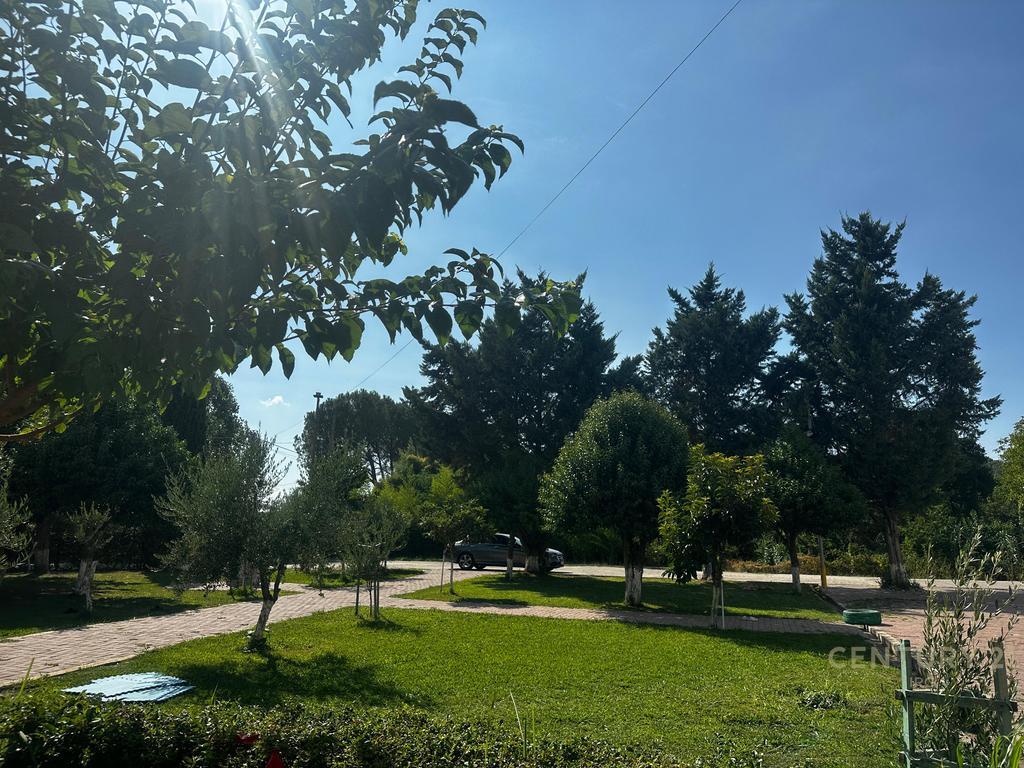 Ambiente Multifunzionale in Affitto – Mullet, Tirana