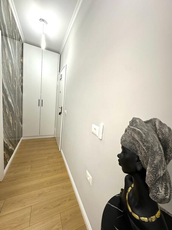 APARTAMENT 1+1 NE SHITJE LIQENI I THATE