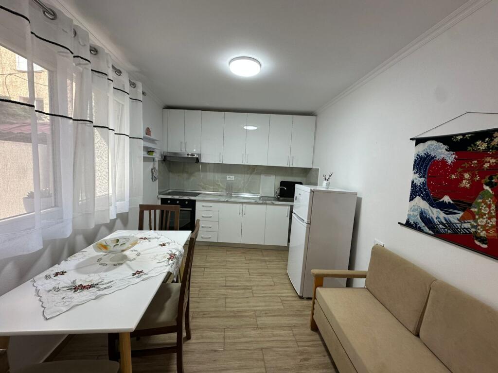 apartament me qira 1+1