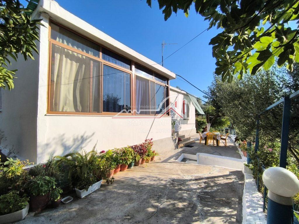 SHITET SHTËPI PRIVATE TE SPITALI,VLORE