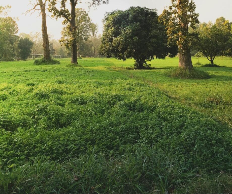 🔺️LAND FOR SALE PETRELE🔺️ 460.000 €