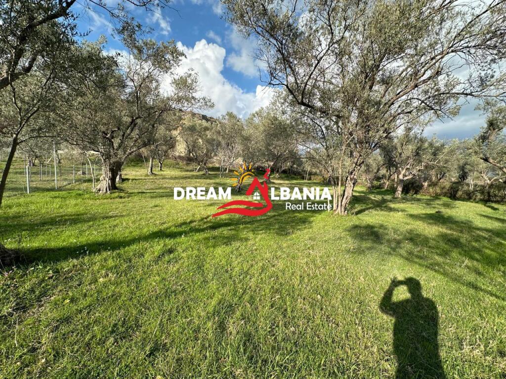 Land for sale in Fikas (ID 4191172)