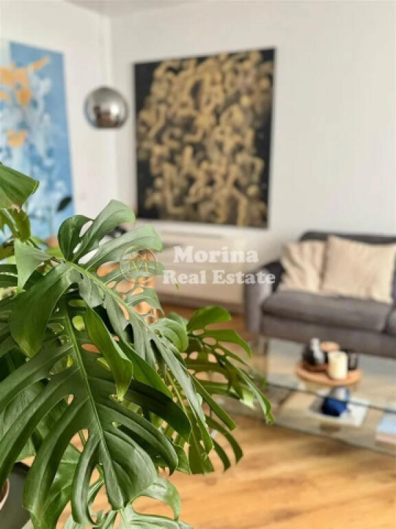 Appartamento in Affitto, 1+1+2 Ex Esposizione 850 Euro/mese
