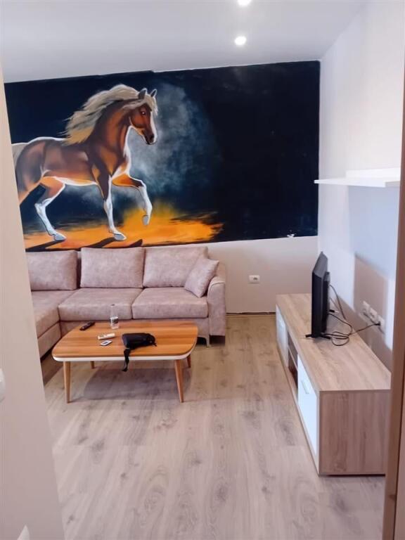 Apartament me qira 1+1 tek Ish Stacioni i Fundit i Tiranes se Re