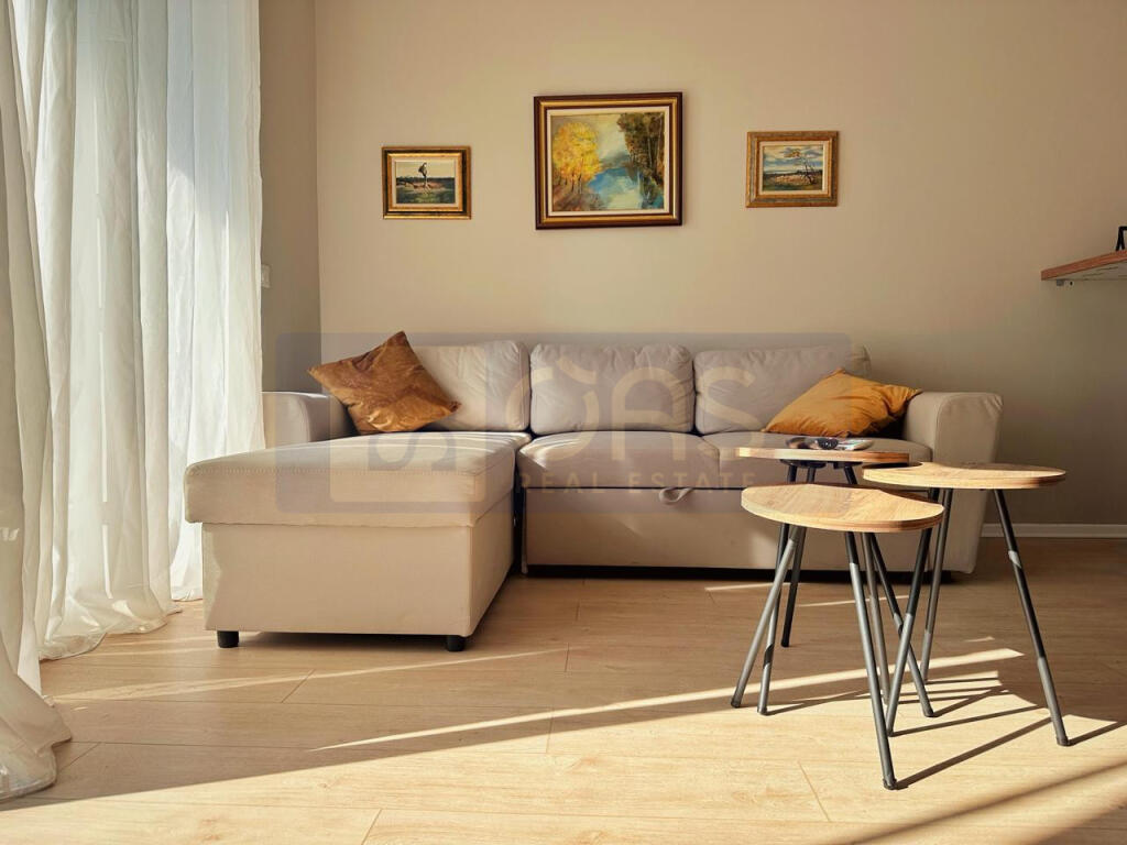 Apartment 1+1 for rent in the Center