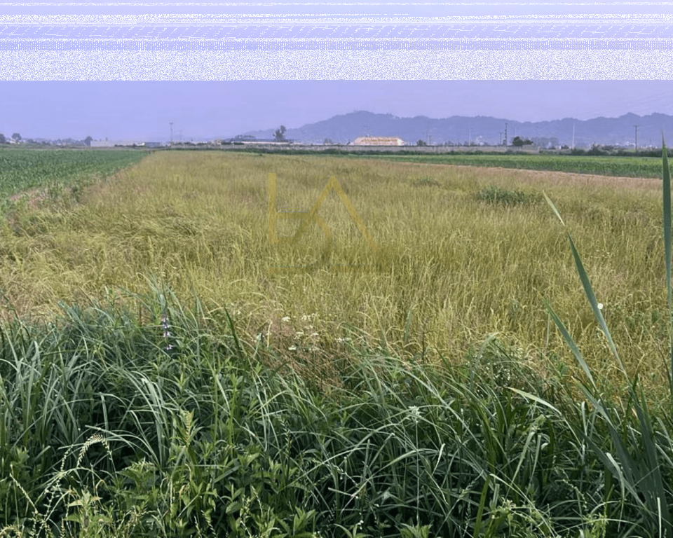 Land for Sale in Bilaj