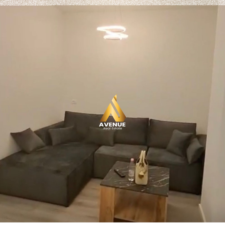 AFFITTASI APPARTAMENTO 1+1 VIALONE ZOGU I
