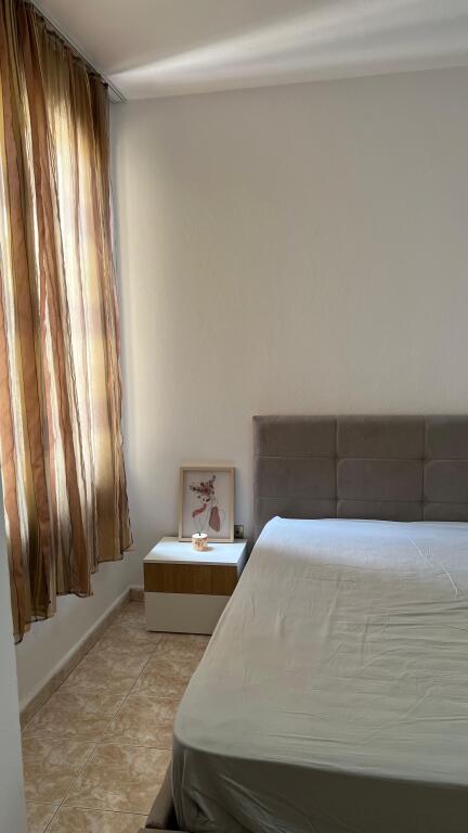 Apartament 1+1 me qera zogu i zi