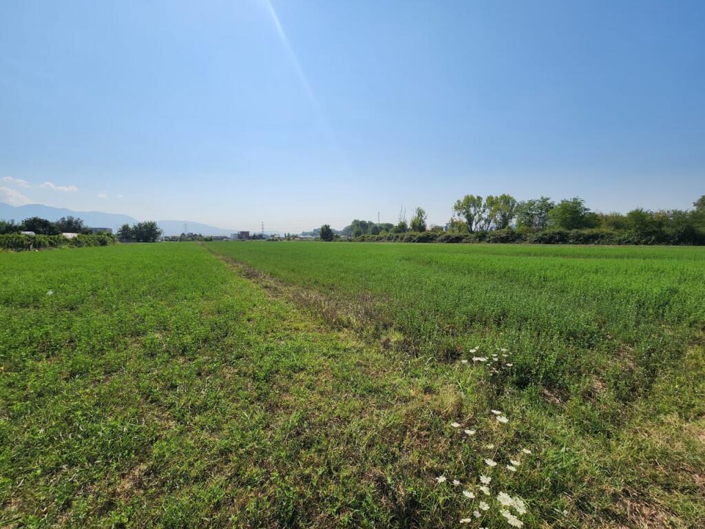 🟤 Land for Sale 3500m² Behind Megatek 🏬 ( Highway - Tirana - Durres 📍) 175K - Strategic Location 🟢