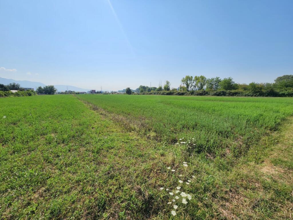🟤 Land for Sale 3500m² Behind Megatek 🏬 ( Highway - Tirana - Durres 📍) 175K - Strategic Location 🟢