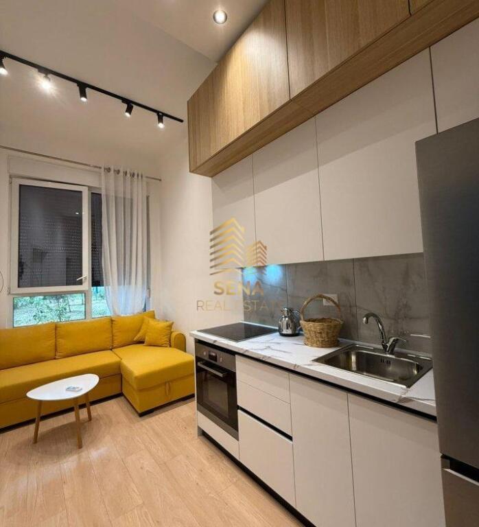 Rent, Apartment 1+1, 21 Dhjetori, 500 Euro/month