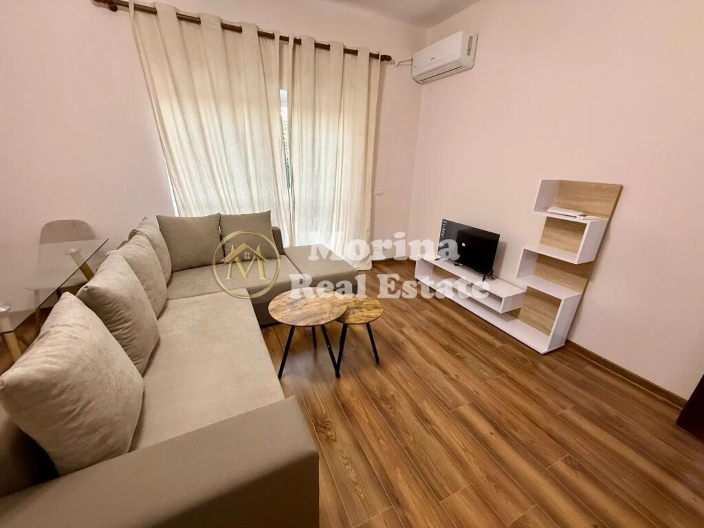 Rent, Apartment 1+1, Center, 700 Euro/month.