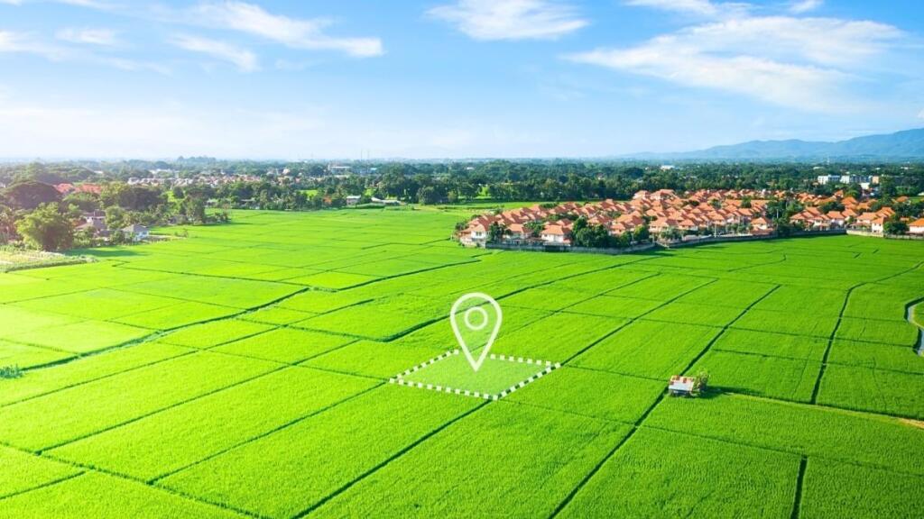 🌍 Land for Sale in Kashar, Tirana!