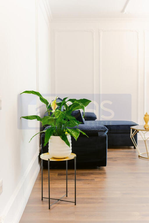 Jepet me qera apartament 1+1 ne Astir