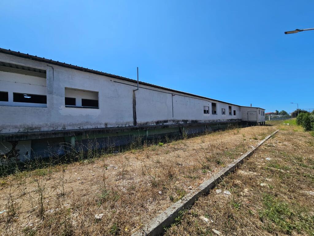 SHITET MAGAZINE INDUSTRIALE NE XHAFZOTAJ,  DURRËS