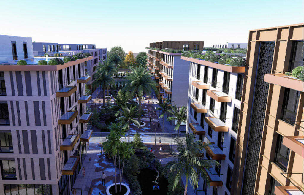🌴✨ SUPER OKAZION – PALMA PARADISE, QERRET ✨🌴