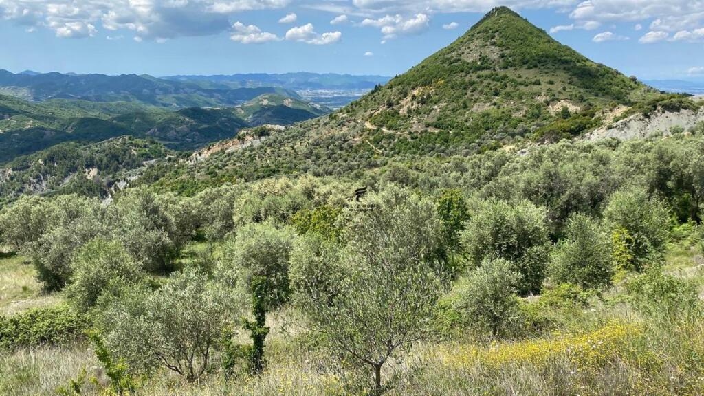 LAND FOR SALE 4000M2 PETRELE 300,000 EURO