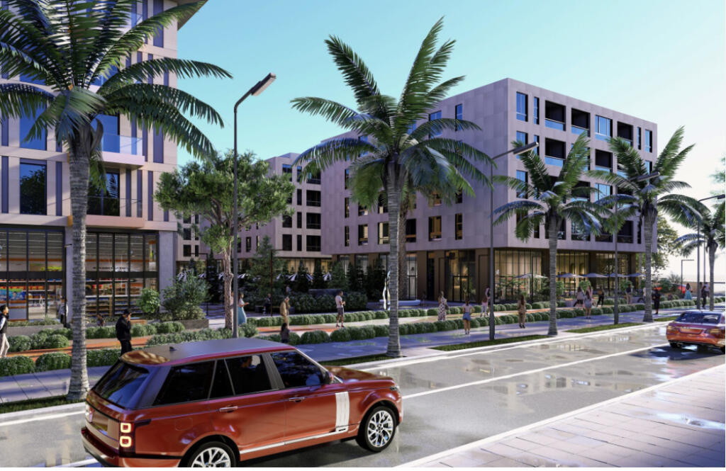 🌴✨ SUPER OKAZION – PALMA PARADISE, QERRET ✨🌴
