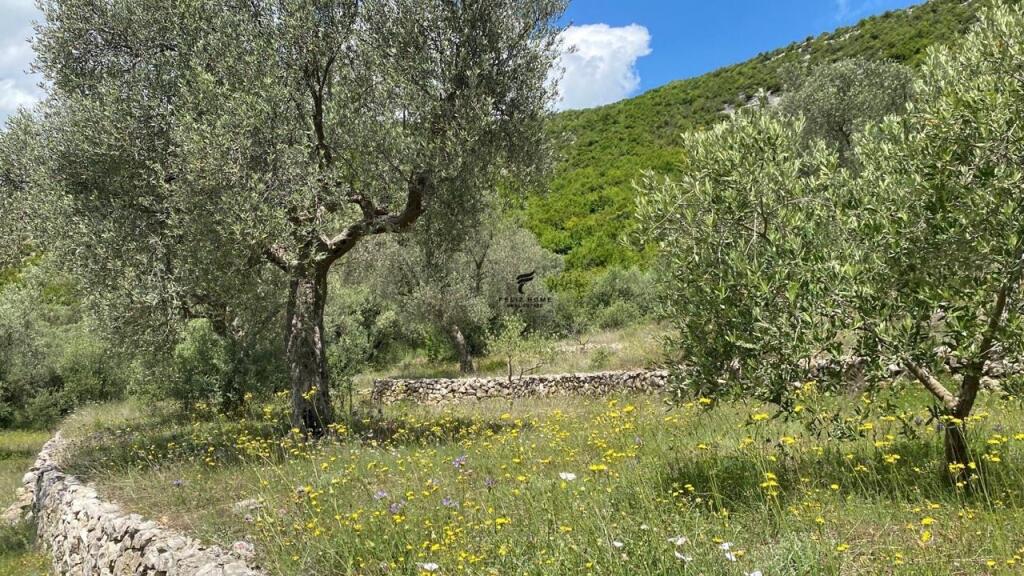 LAND FOR SALE 4000M2 PETRELE 300,000 EURO