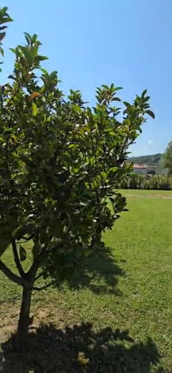 🏡CASA PRIVATA IN VENDITA, FUSHE-PREZE🙈‼️
