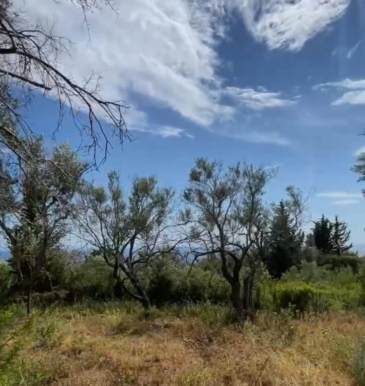 Shitet toke 3200 m2 ne Dhermi