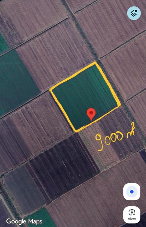 Agricultural Land for Sale 9,000 m² in Divjakë !! 45,000 €