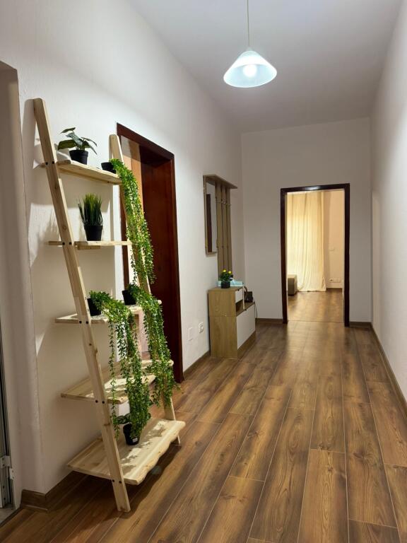 APARTMENT FOR RENT 1+1 KAVAJA STREET 65,000 LEKE