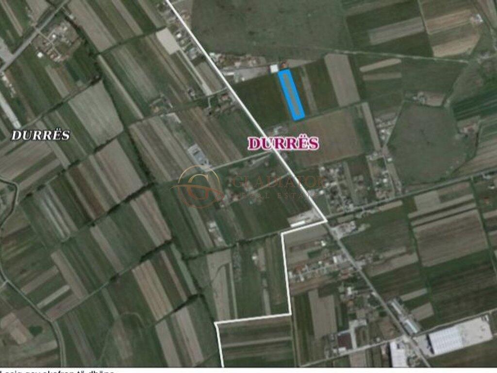 SHITET TOKE TE 4 RRUGET E FLLAKES "DURRES"