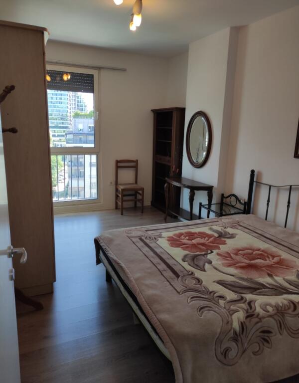 Apartment 1+1+Balcony for rent (Dinamo Complex)
