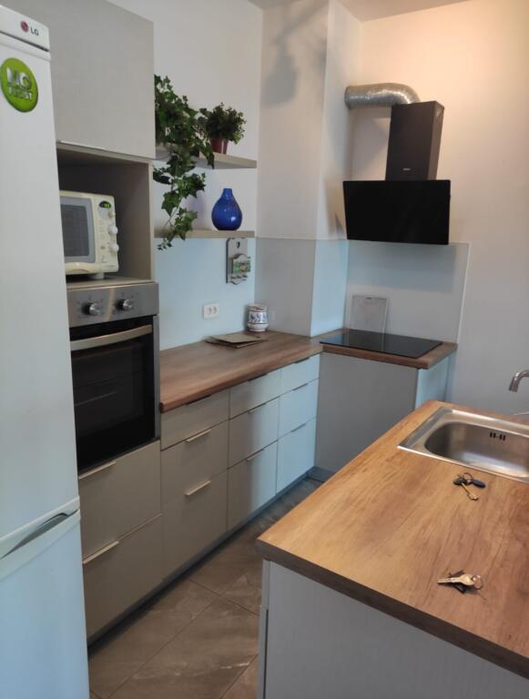 Apartment 1+1+Balcony for rent (Dinamo Complex)