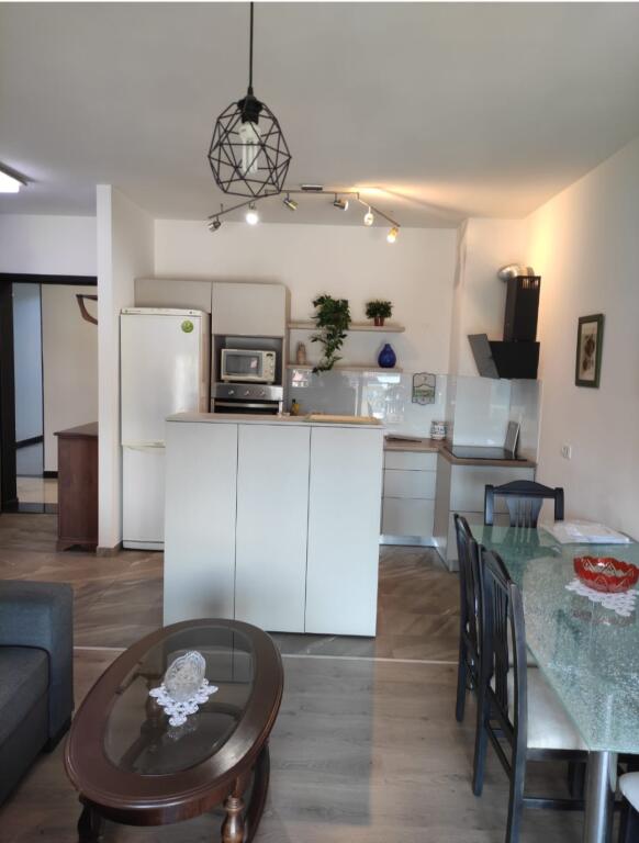 Apartment 1+1+Balcony for rent (Dinamo Complex)