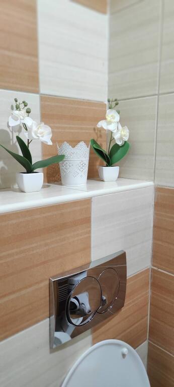 Apartment For Rent 2+1 At Bardhyl Street (ID B221320) Tirana