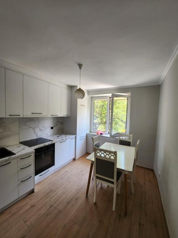 Apartment 1+1 for rent "Petro Nini Luarasi"