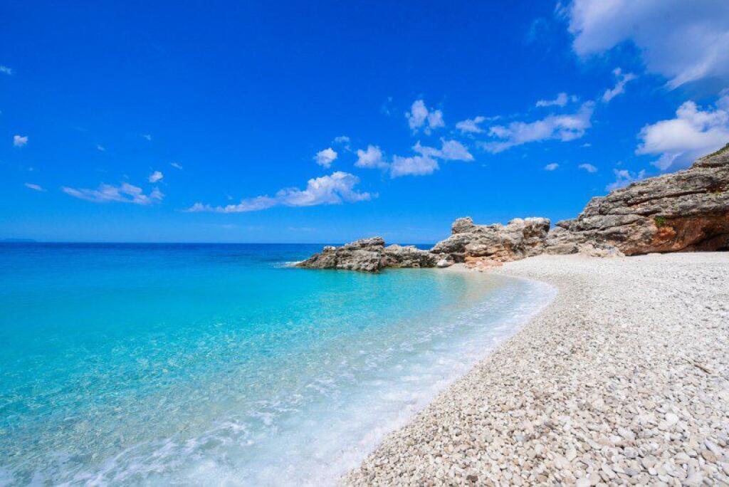 Apartment For Sale In Green Coast Palase