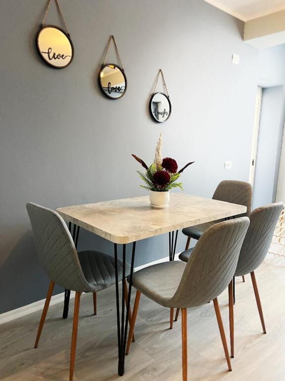 Jepet me qira apartament 1+1 RRUGA E DURRESIT 650 mije leke