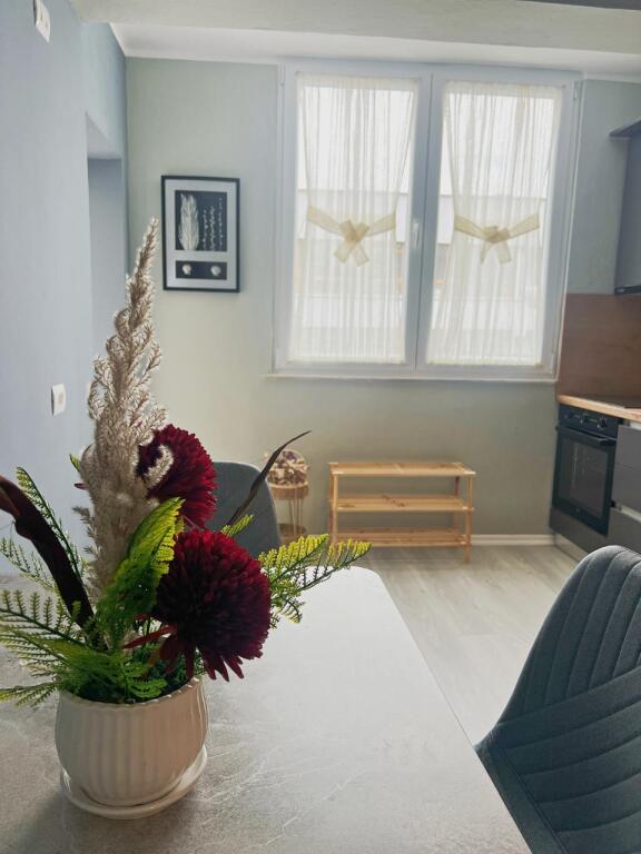 Jepet me qira apartament 1+1 RRUGA E DURRESIT 650 mije leke