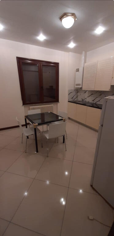 Appartamento in affitto 1+1 Kinostudio!