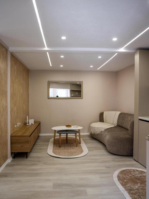 Selvia Offers Apartment 1+1 For Rent