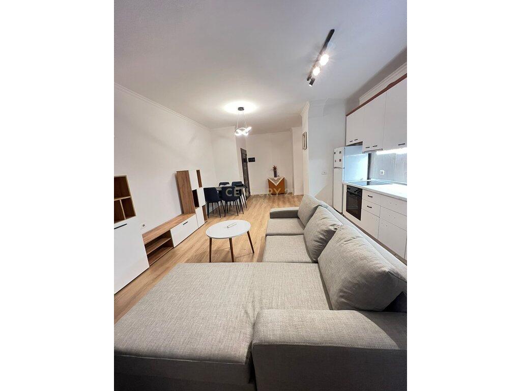 Apartment 1+1 for rent at the beginning of Fresku.