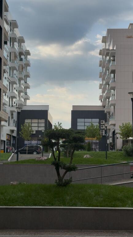 Residenca erli porcelan
