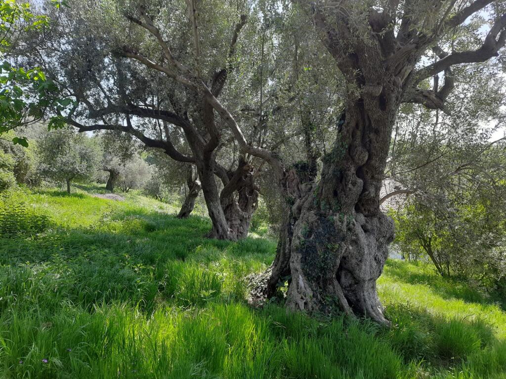 VENDESI PRIVATO+TERRENO IN VENDITA A TUFINE 240.000 EURO