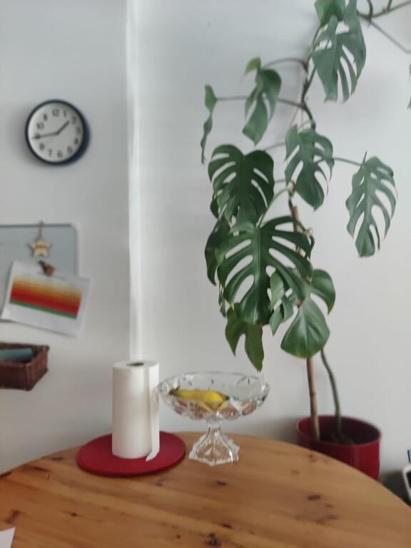 Jepet Me Qera Apartament 1+1+1 Ballkon