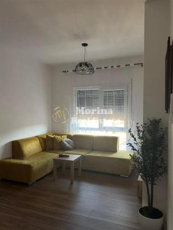Affitto, Appartamento, 1+1, Xhamllik, 550 euro/mese