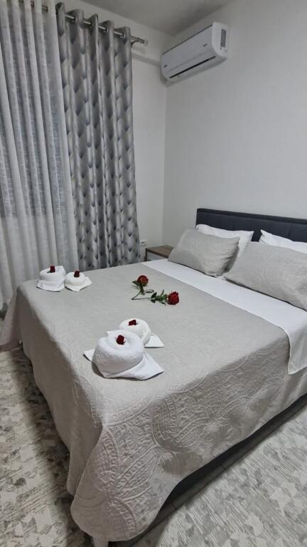 APARTAMENT ME QERA 2+1 VASIL SHANTO 60.000 LEKE