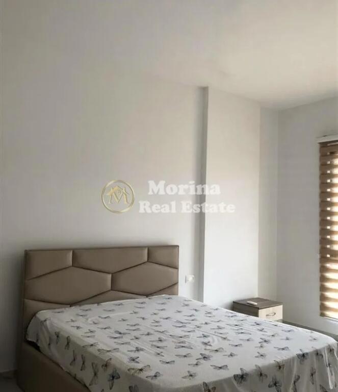 Affitto Appartamento 1+1, Square 21, 550 Euro/Mese